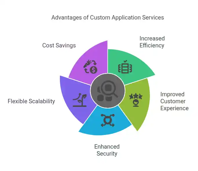 Benefits of application customization services
