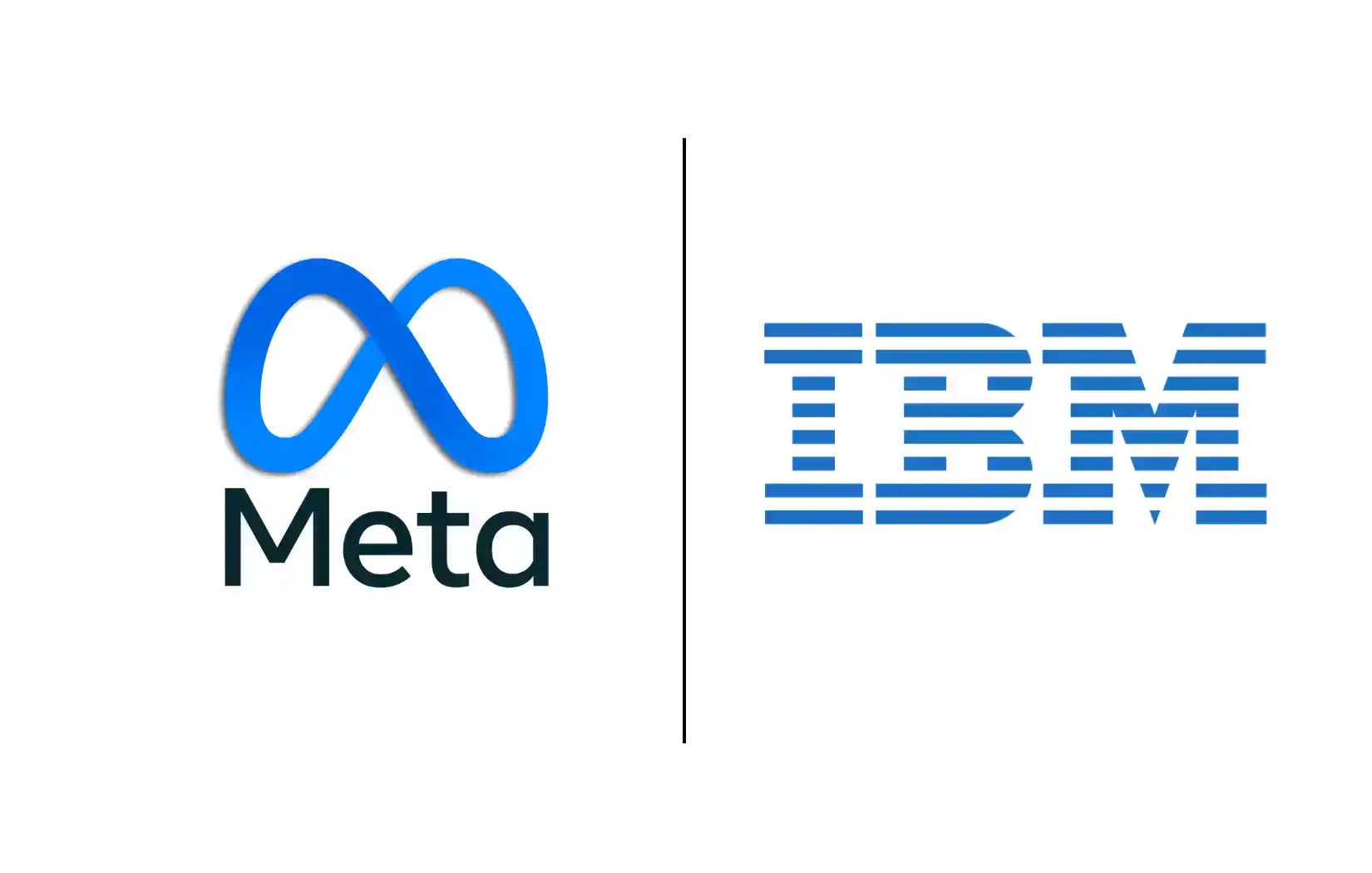 meta and ibm