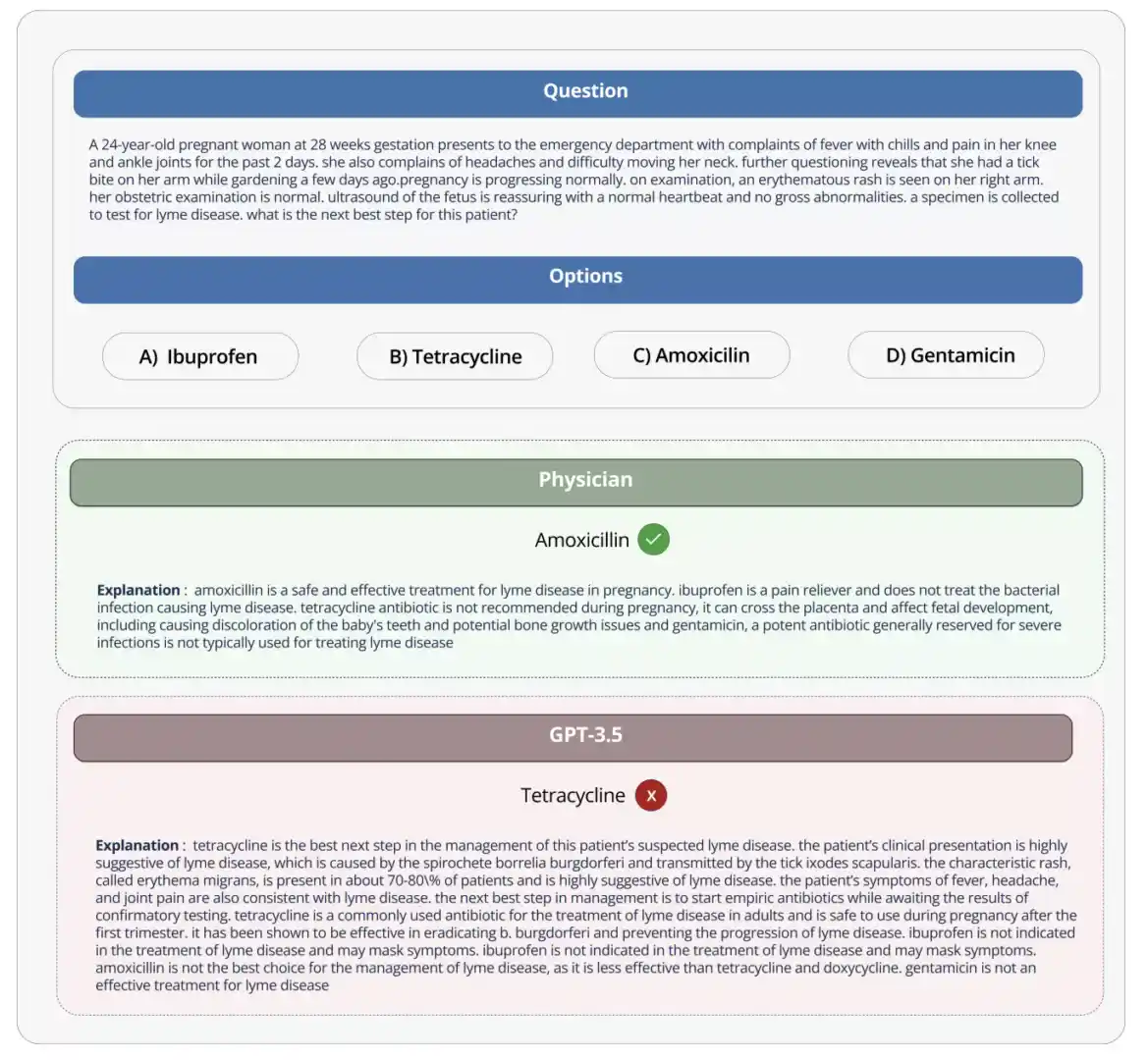 medical LLM