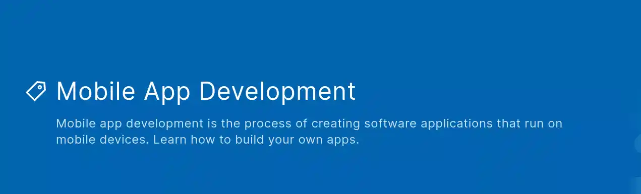 App Development Company in USA