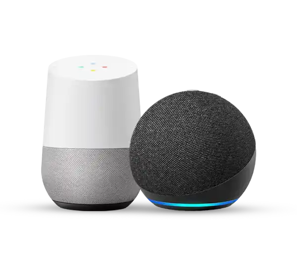 Amazon Alexa or Google Home