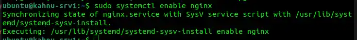 Enable Nginx