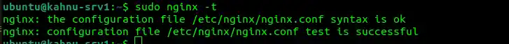 Nginx check configuration