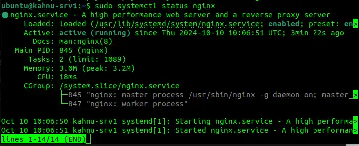 Nginx Check Status