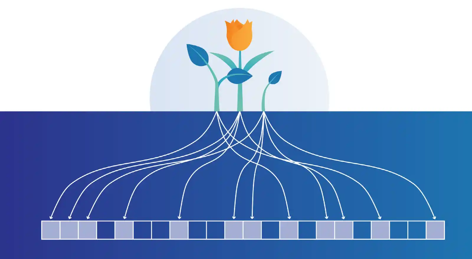 How Bloom Filters Provide an Easy Pre-Check Mechanism for Filtering Millions of Data