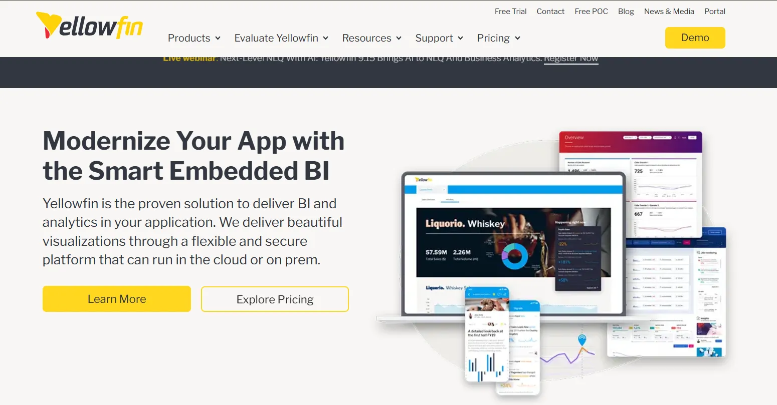 Business Intelligence Tools