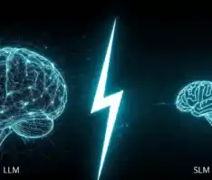 LLM vs SLM