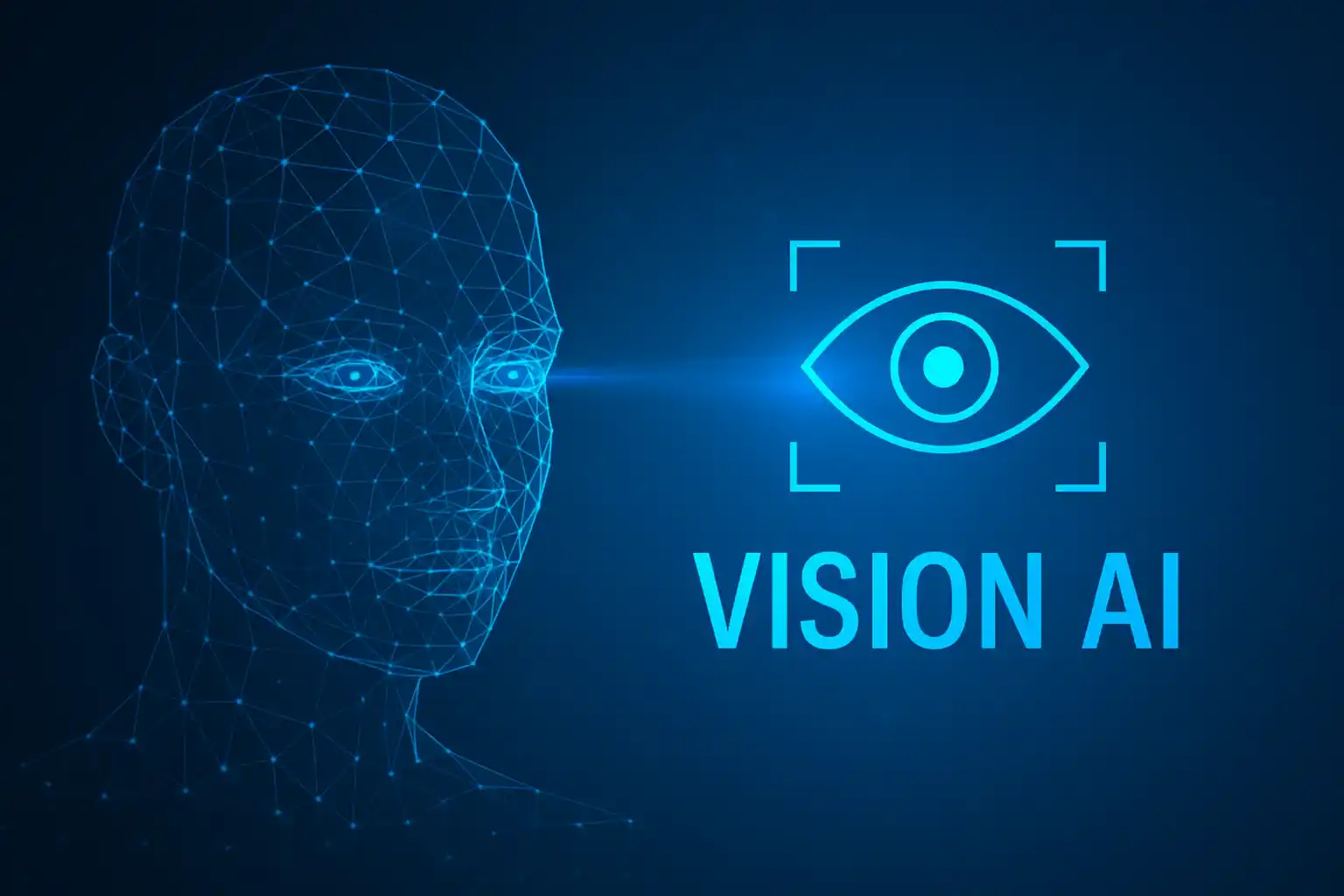 Vision AI