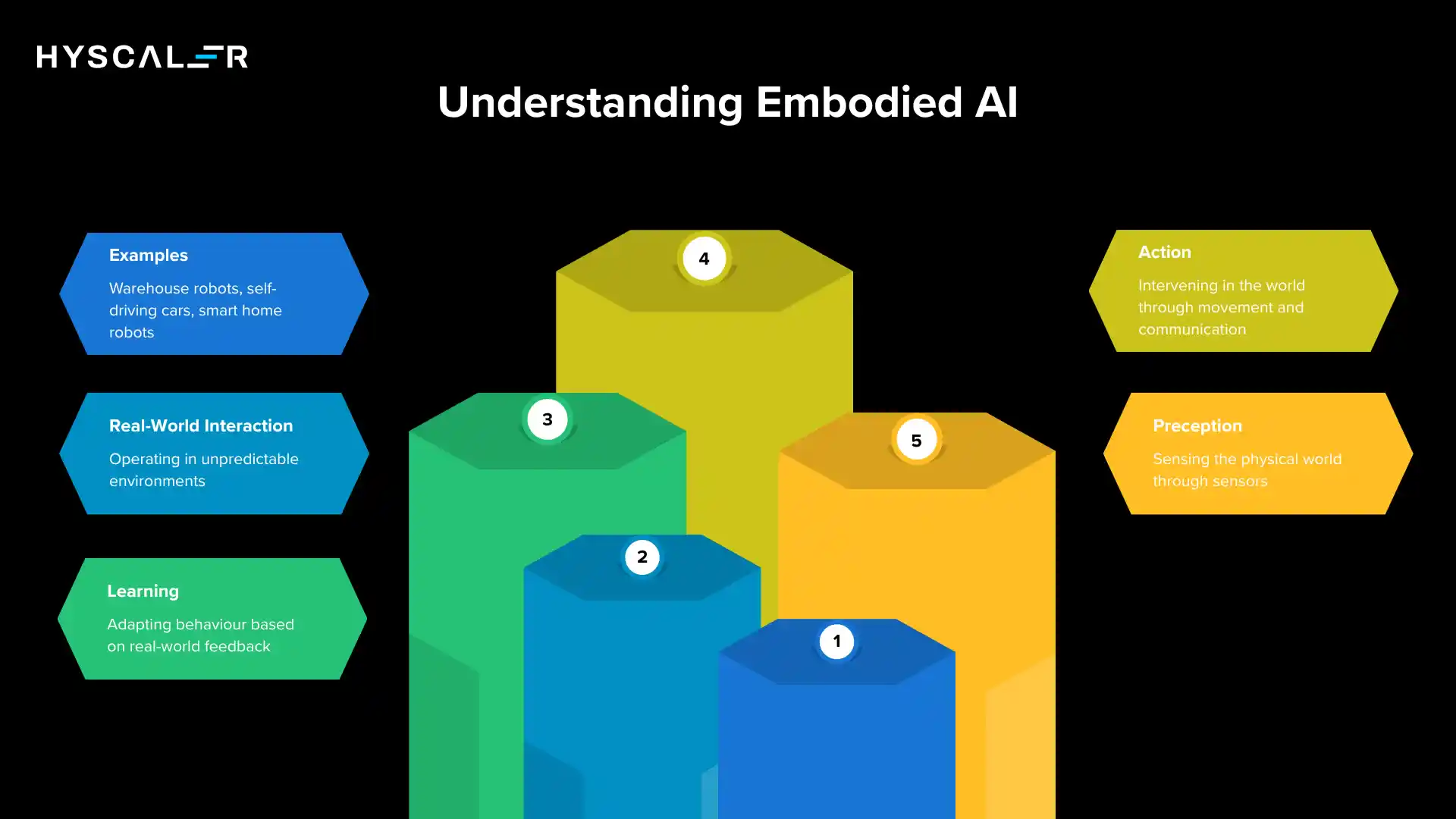 Understanding Embodied AI