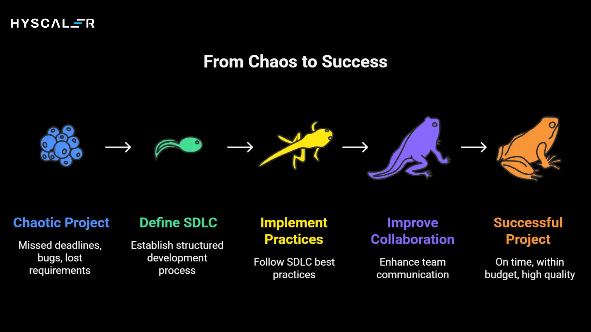 Why Does the Software Development Life Cycle Matter?