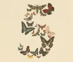 claude fable 5