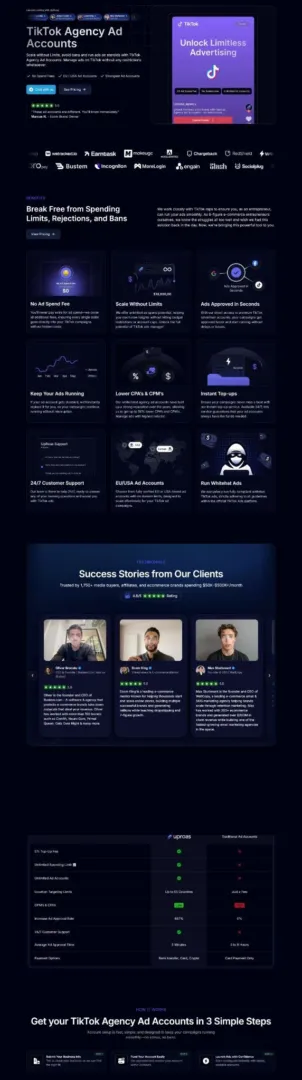 TikTok Agency Ad Accounts landing page