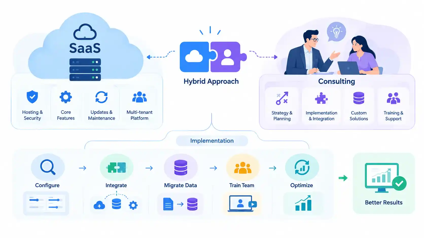 SaaS vs Consultant